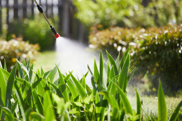 24/7 Emergency Fumigation Services experts in Oak Ridge, NC