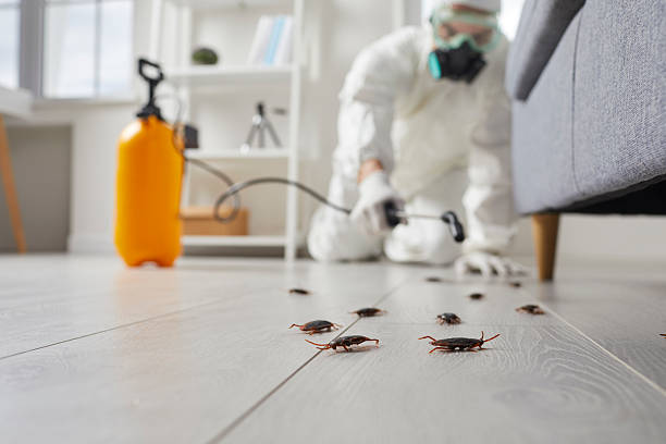 Trusted Termite Control service in Oak Ridge, NC - Nex Pest Control