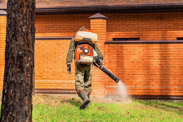 Trusted Cockroach Control service in Oak Ridge, NC - Nex Pest Control